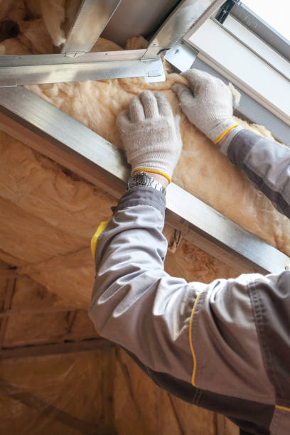 Types of Insulation We Offer in West Hollywood, CA